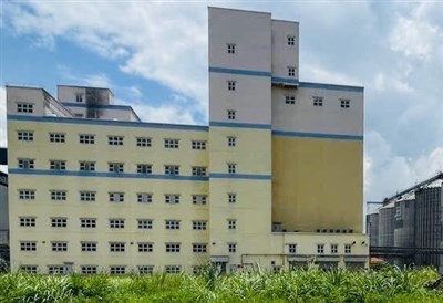 Tin vui